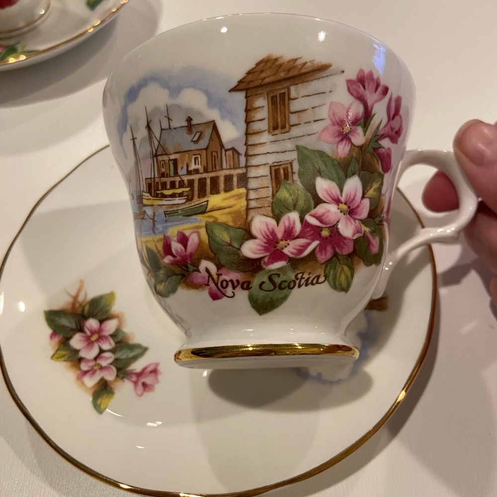 Vintage Crown Trent Nova Scotia Fine Bone China Teacup and Saucer